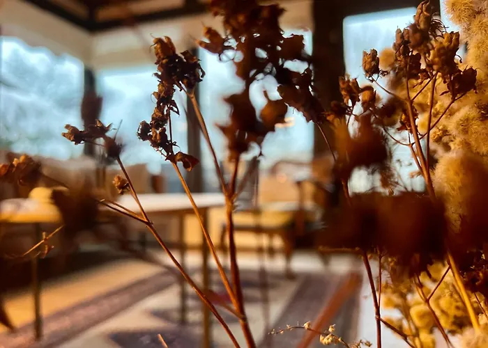 Charmantes Haus Am Hennesee Feriehus